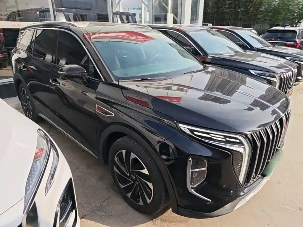 Photo 4 - Hongqi HS7 PHEV