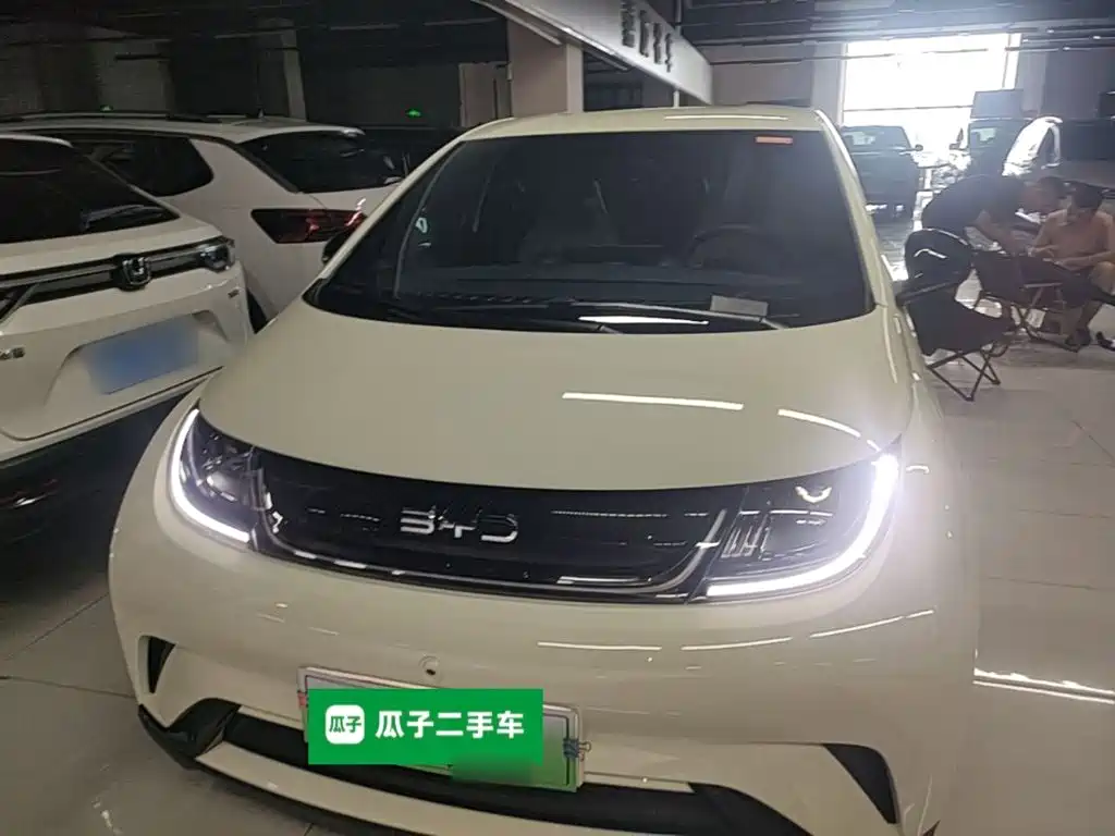 2026 BYD Dolphin