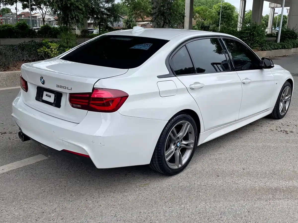 BMW 3 Series 2018 320Li Leading M Sport Package фото 12