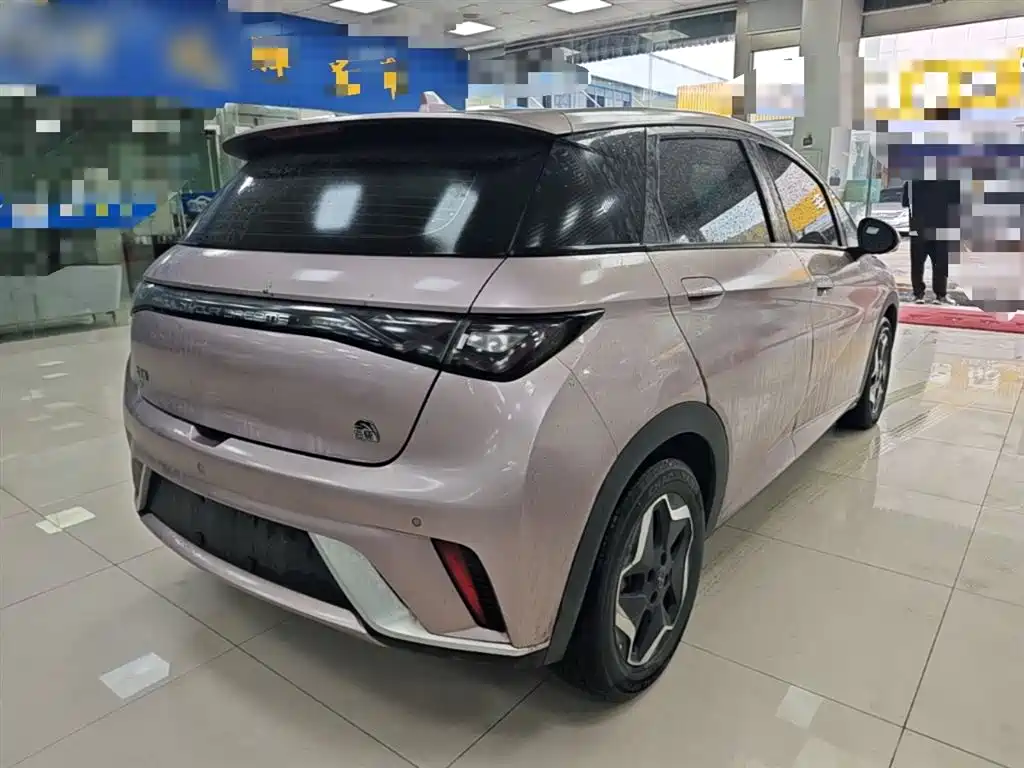 BYD Dolphin 2021 Model 405km Fashion Edition фото 7