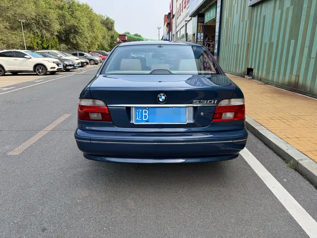 BMW 5 Series (Import) 2004