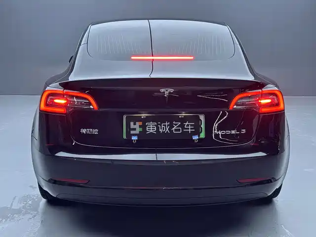 Tesla Model 3 2020 Facelift Long Range Rear-Wheel Drive — фото 4