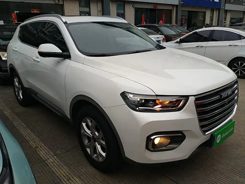 صورة 4 - Haval H6
