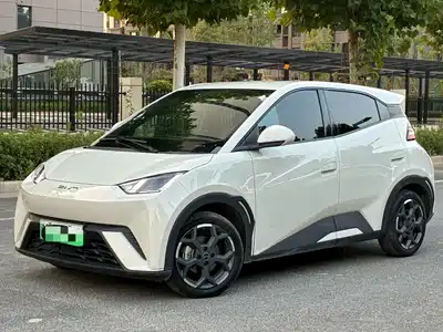 BYD Seagull