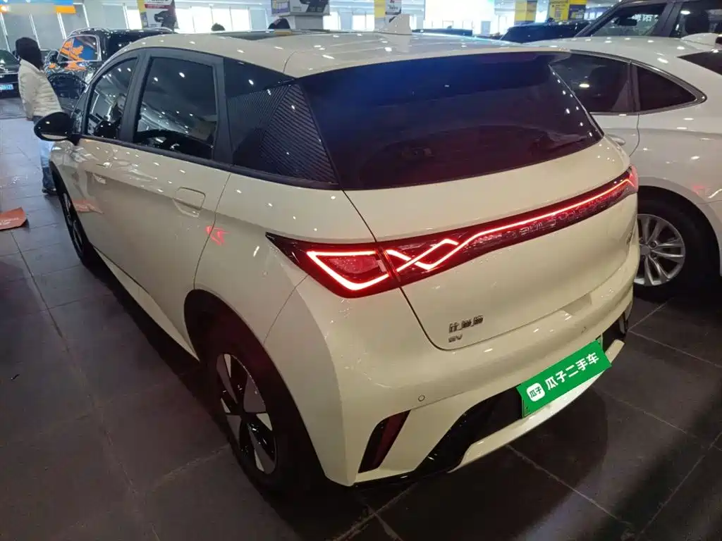 BYD Dolphin 2023 420km Fashion Edition фото 23
