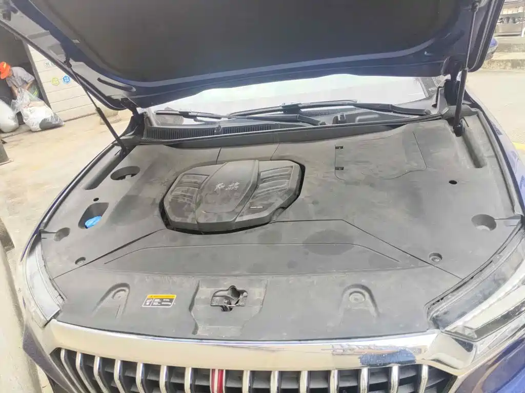 Hongqi HS5 2020 2019 2.0T Smart Connect Enjoy Edition