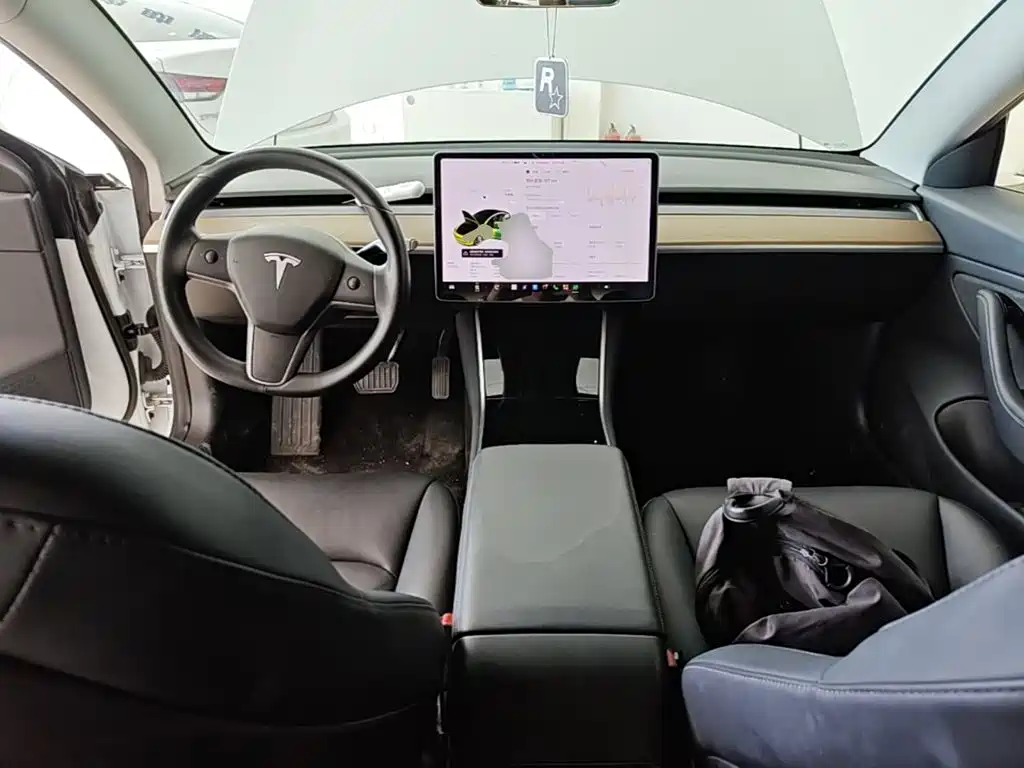 Tesla Model 3 (Import) 2019 2019 Long Range RWD Version