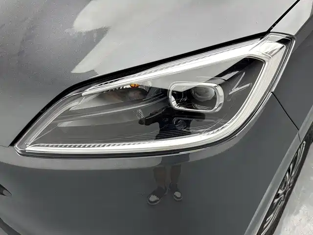 Wuling Motors Wuling Hongguang New Energy 2026 2024 Pure Electric 300KM Standard