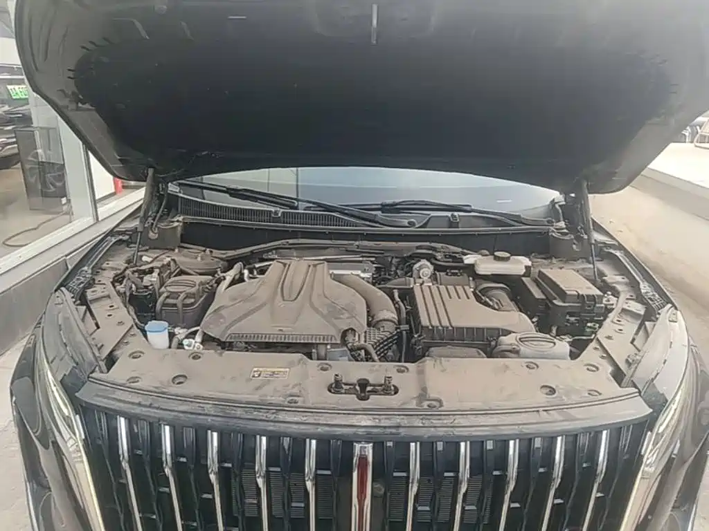 Photo 20 - Hongqi HS7 PHEV