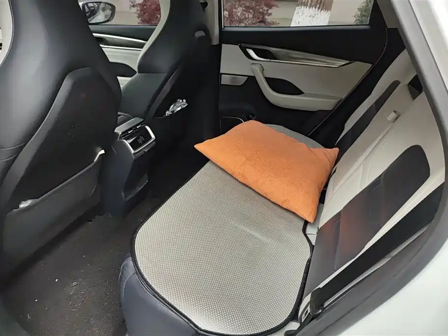 WEIMA AUTOMOBILE WEIMA EX5