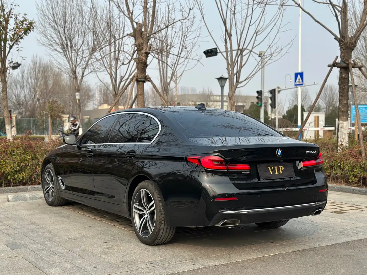 BMW 5 Series 2021 530Li Leading Luxury Package фото 6
