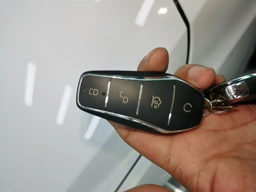 BYD Qin New Energy 2019 Travel Standard Edition фото 9
