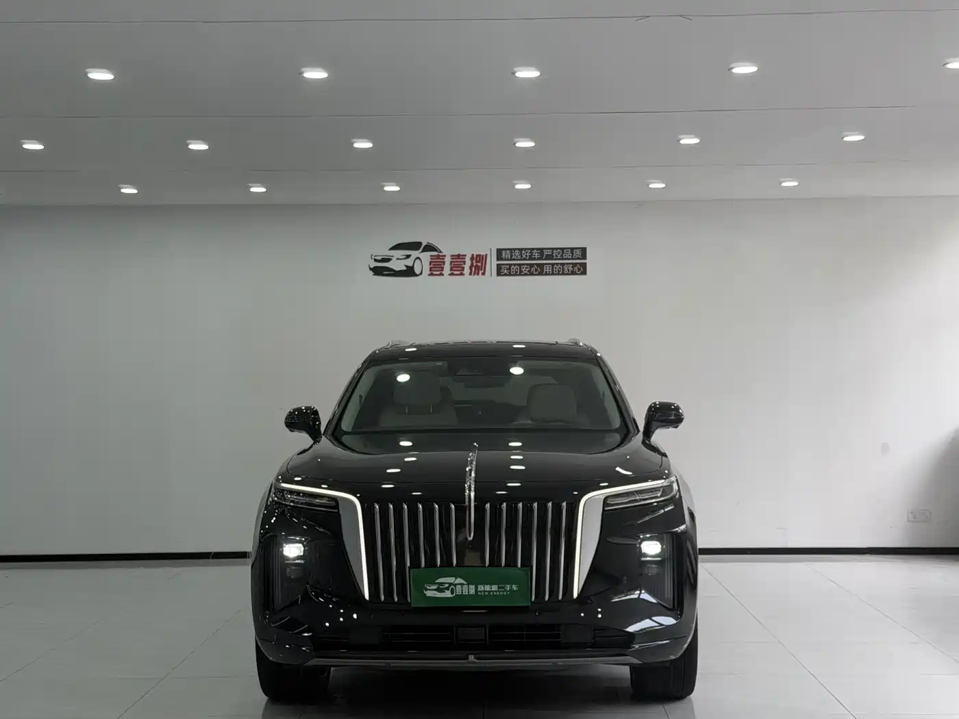 Hongqi E-HS9 2021 510km Flagship Edition 4-seater фото 2