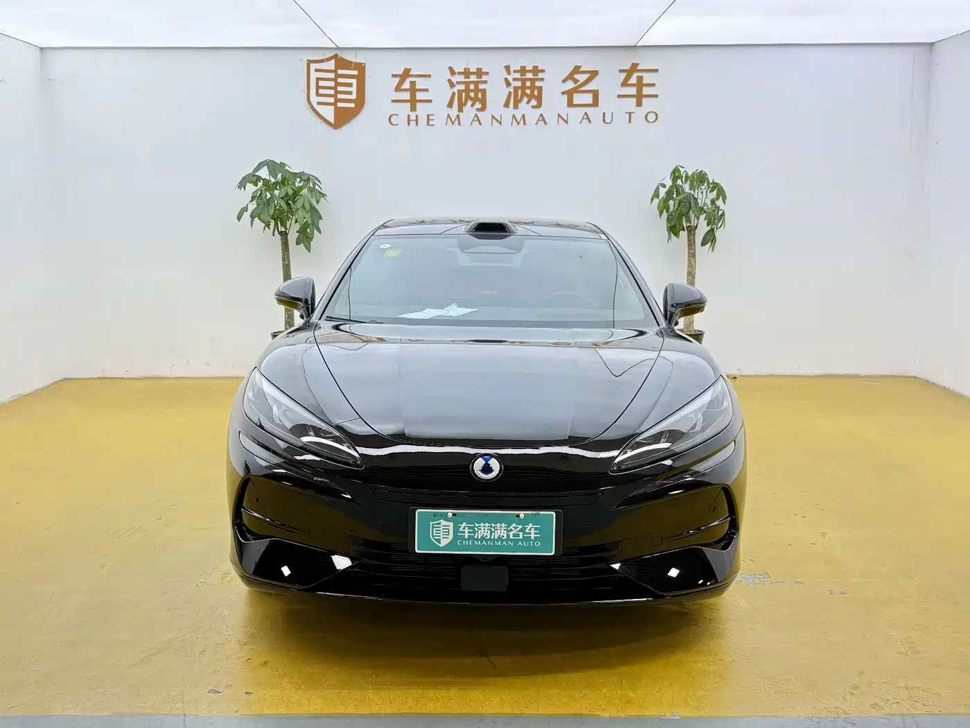 Denza Z9GT 2026 2026 Model Yi San Fang Flash Charge Flagship Edition