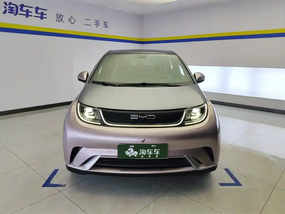 BYD Dolphin 2022 2021 Model 405km Fashion Edition