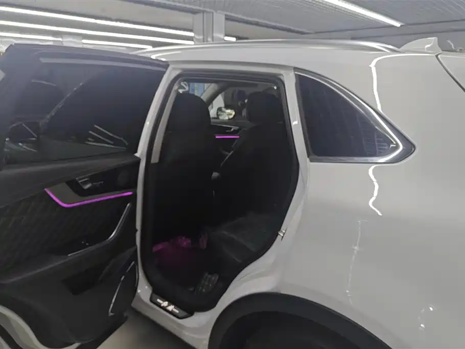 Hongqi HS5 2019 2.0T Smart Connect Enjoy 4WD Edition фото 11