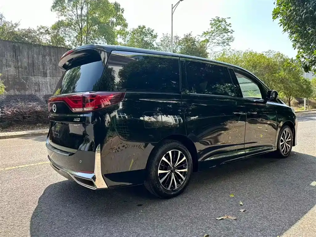 GAC Trumpchi Trumpchi M8 2021 Leading Show Series 390T Premium Edition фото 7