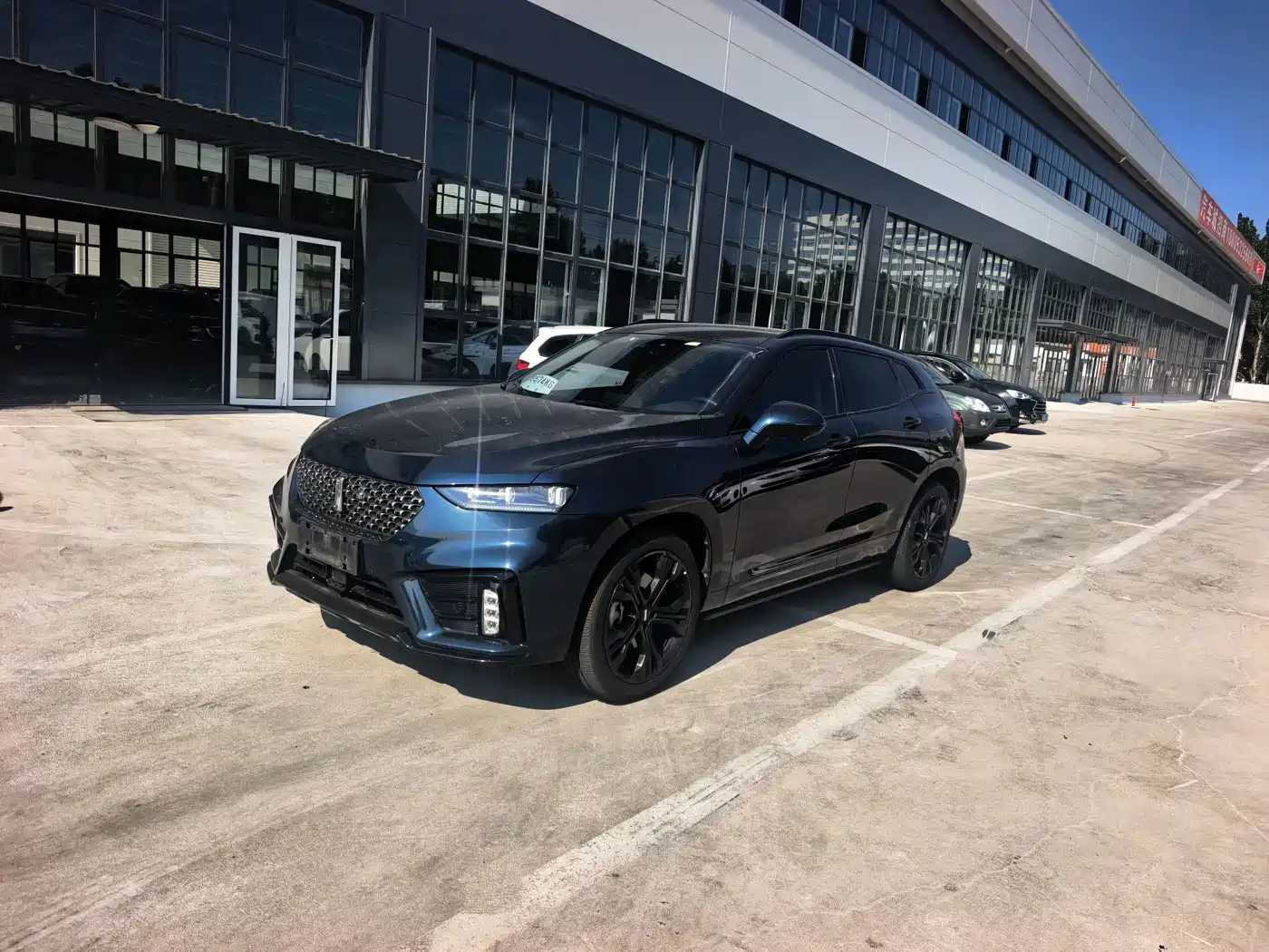 WEY VV7 2020 2020 Model 2.0T Flagship