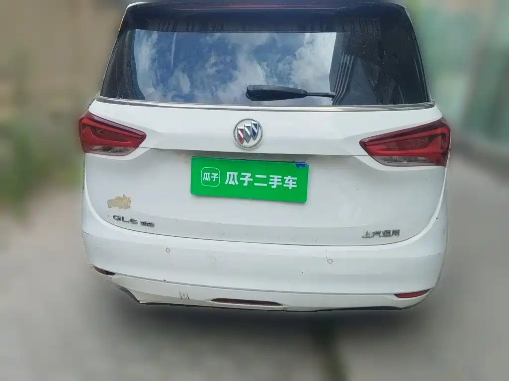 Фото 5 - Buick GL6