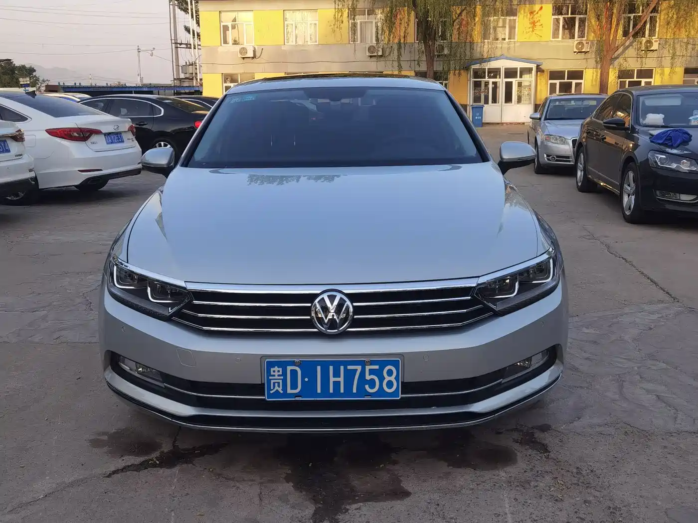 Volkswagen Magotan 2019 330TSI DSG Luxury Class China VI