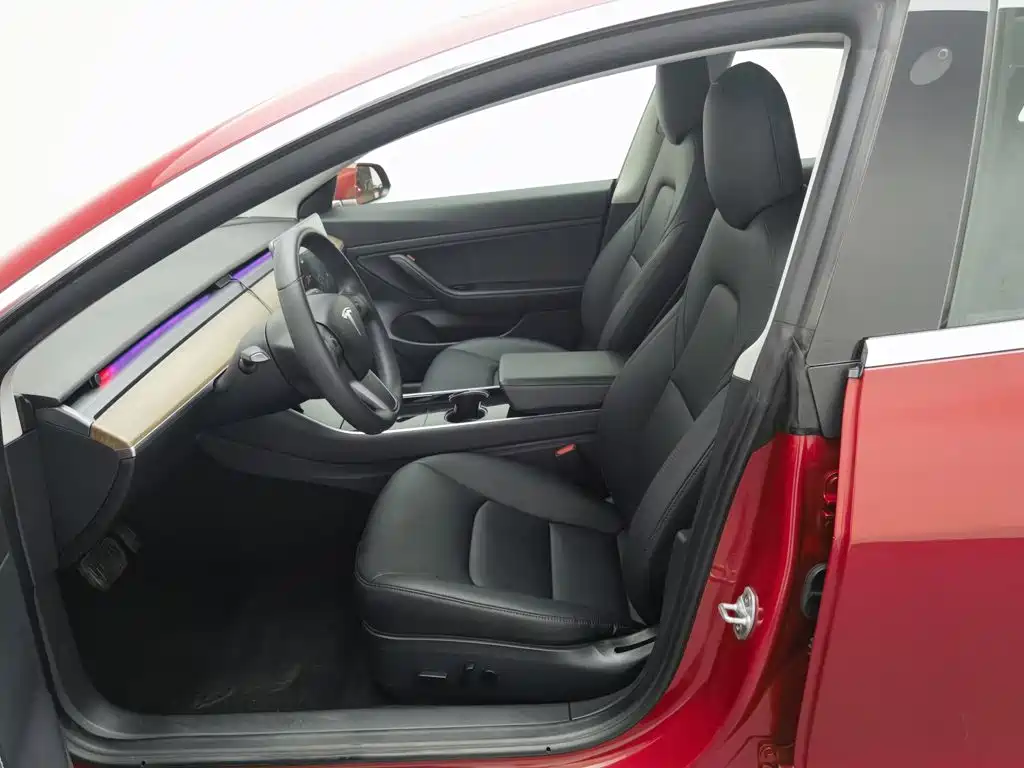 Tesla Model 3 2020 2020 Standard Range Rear-Wheel Drive Upgrade