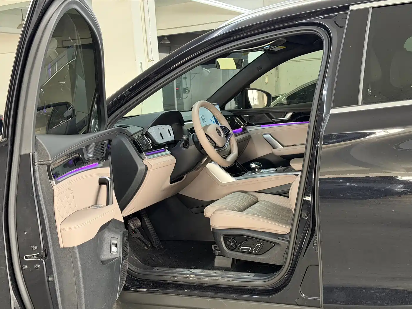 2025 BYD Tang New Energy
