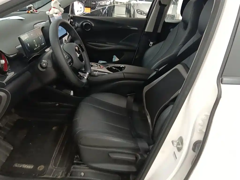 BYD e2 2024 2023 Comfort Model