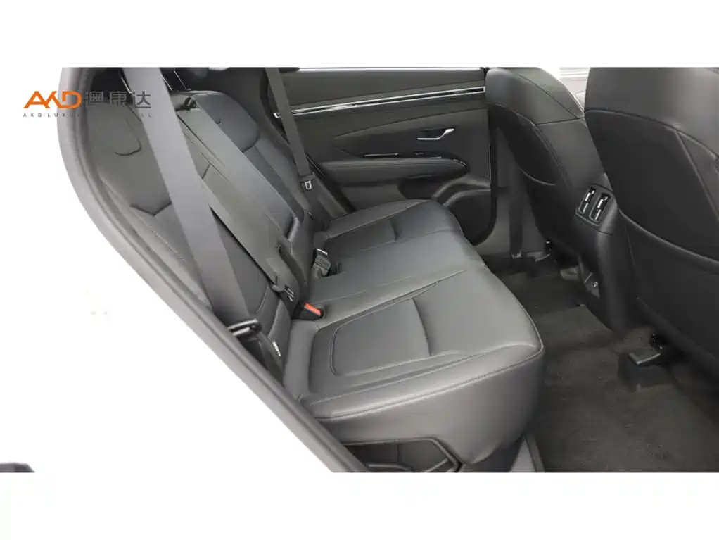 Hyundai Tucson 2023 2023 Tucson L 1.5T DCT 4WD LUX Premium Edition