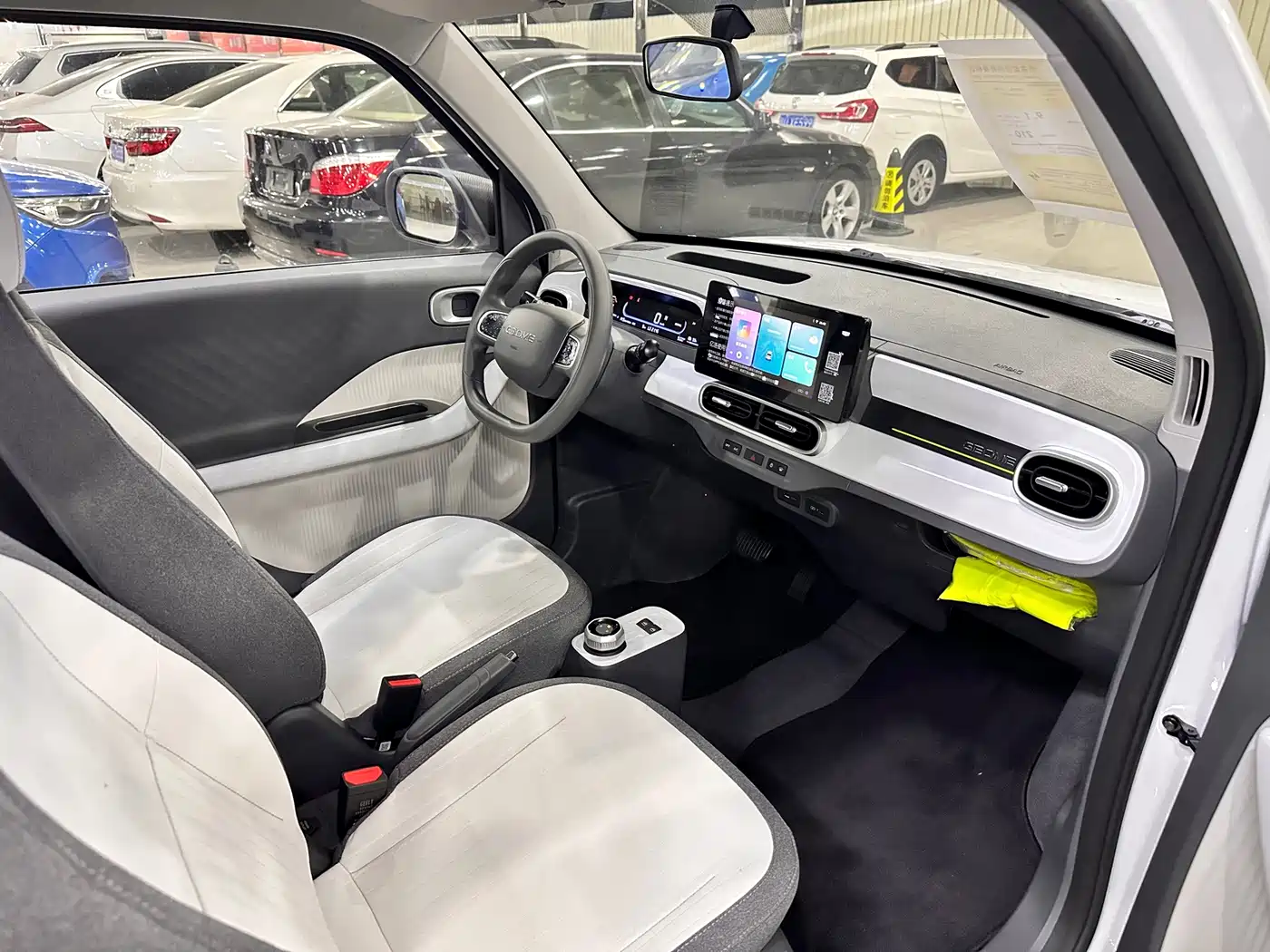 Geely Galaxy Panda 2026 2025 Panda mini 210km Vitality Bear
