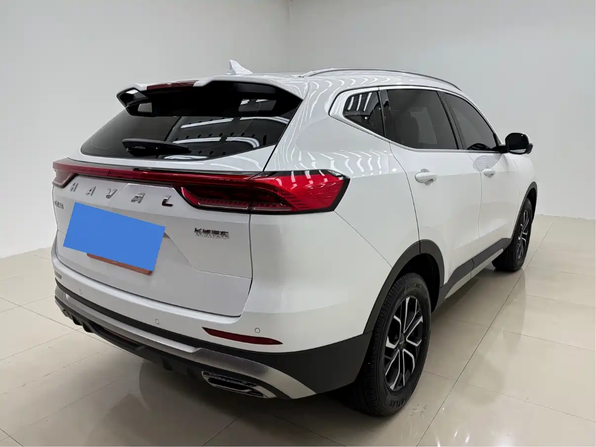 Haval H6 2023 National Trend Edition 1.5T Automatic Urban фото 3