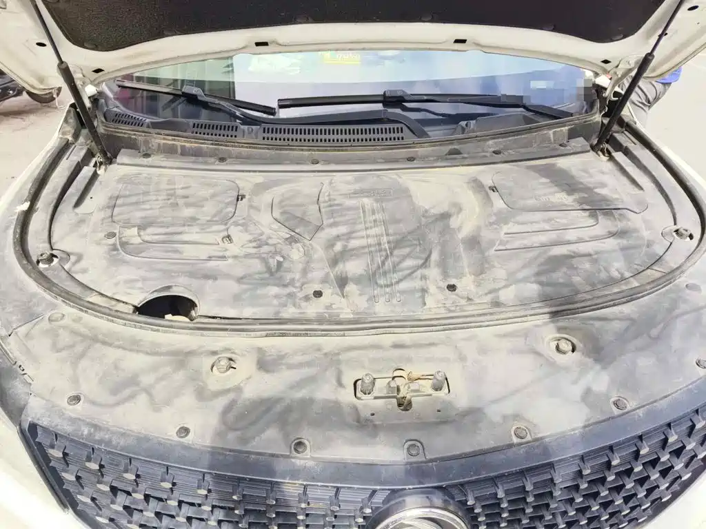 Dongfeng Fengguang Fengguang 580Pro 2019 2020 280TGDI CVT Driving Leader