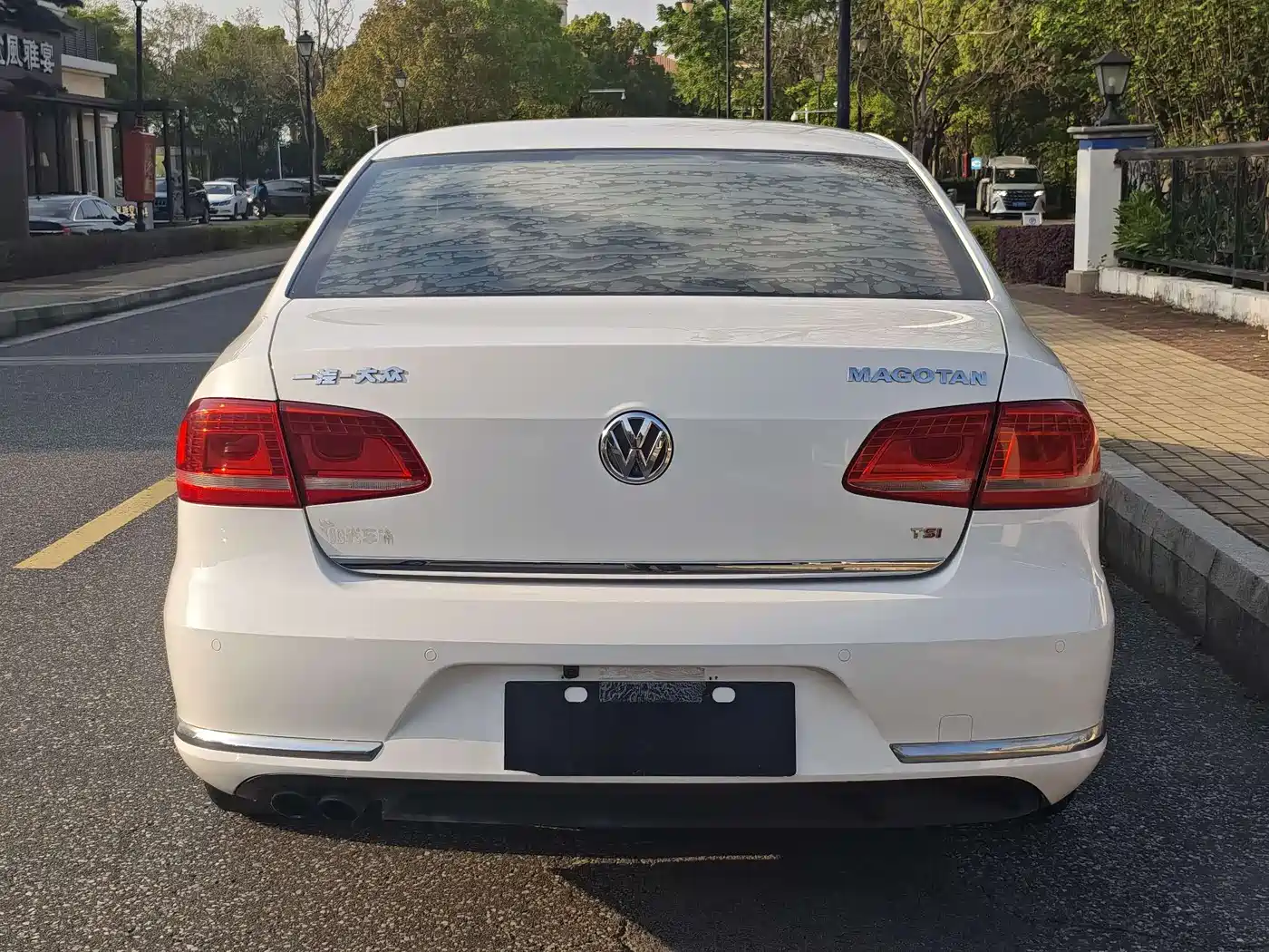 Volkswagen Magotan 2013 1.8TSI Luxury фото 6