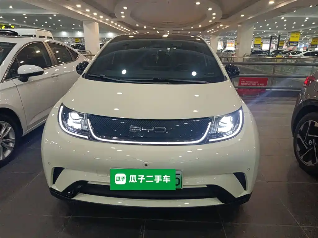 BYD Dolphin 2023 420km Fashion Edition фото 3