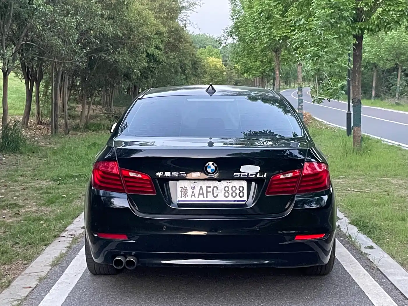 BMW 5 Series 2014 520Li Elegance фото 8