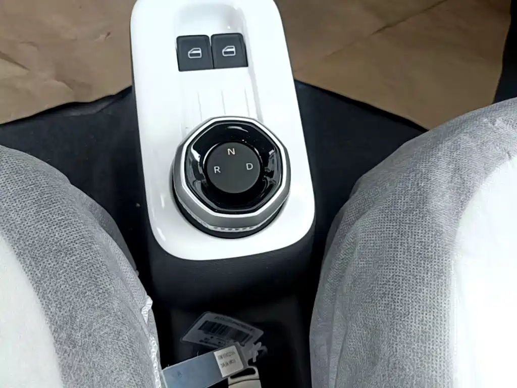 Geely Galaxy Panda 2026 2025 Panda mini 210km Vitality Bear