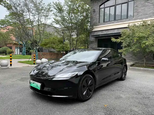 Tesla Model 3 Задний привод