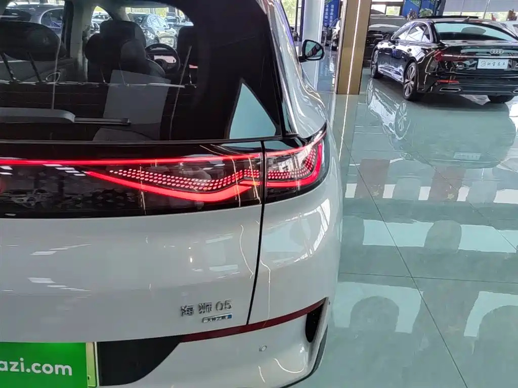 BYD Hai Shi 05 EV 2025 520KM Smart Navigation Edition фото 8