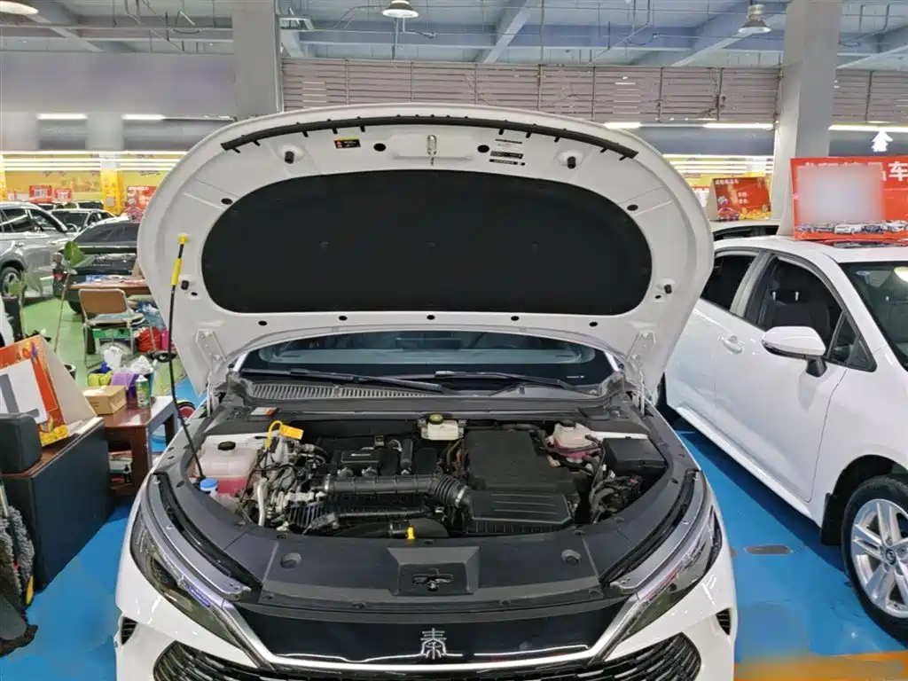 BYD Qin L 2024 DM-i 80KM Superior фото 20