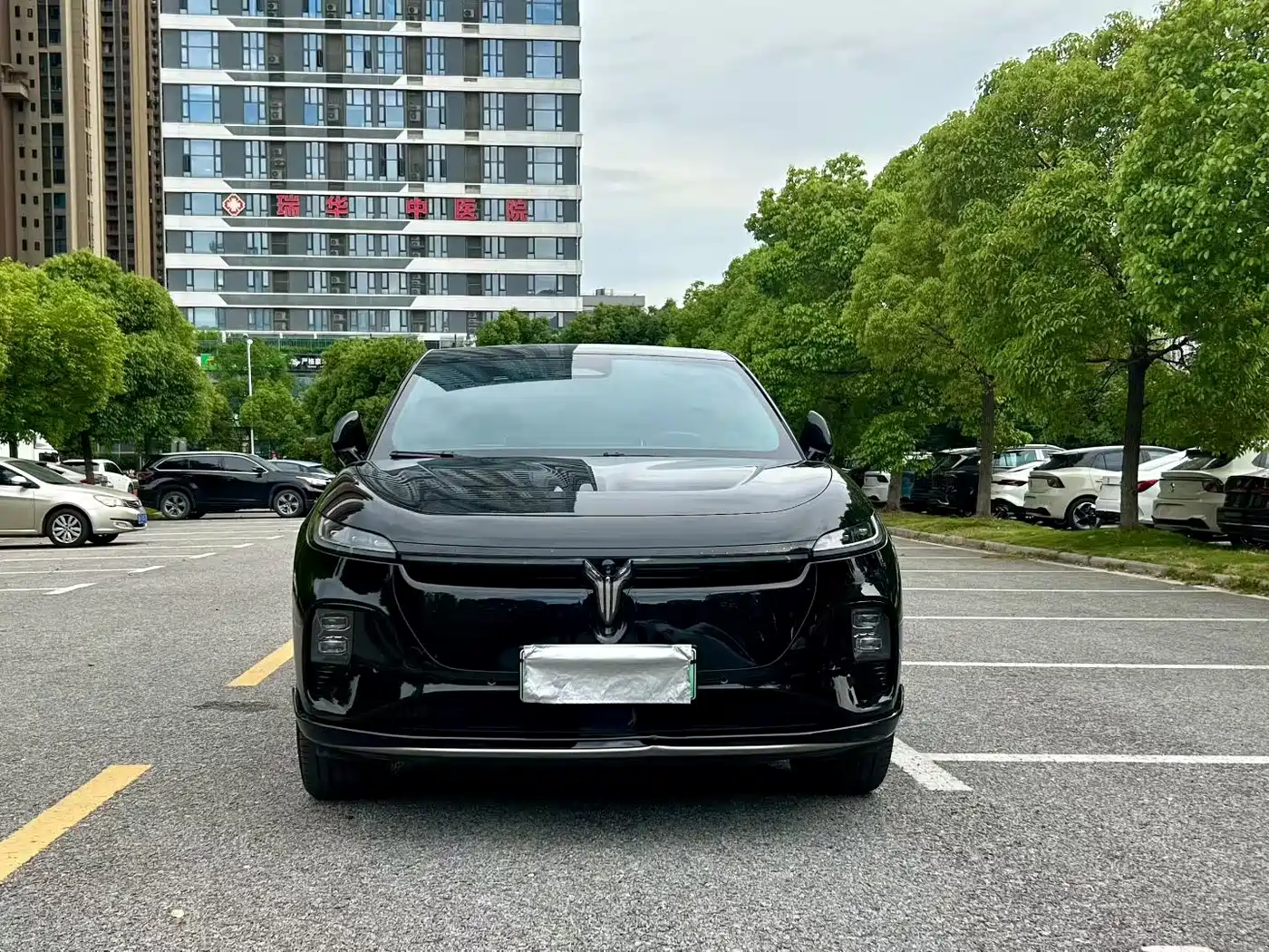 Voyah Auto Voyah Zhiyin 2024 Long Range Super Charging Edition фото 2