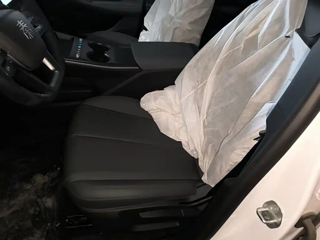 BYD Qin PLUS 2026 DM-i Smart Edition 128KM Progressive фото 15