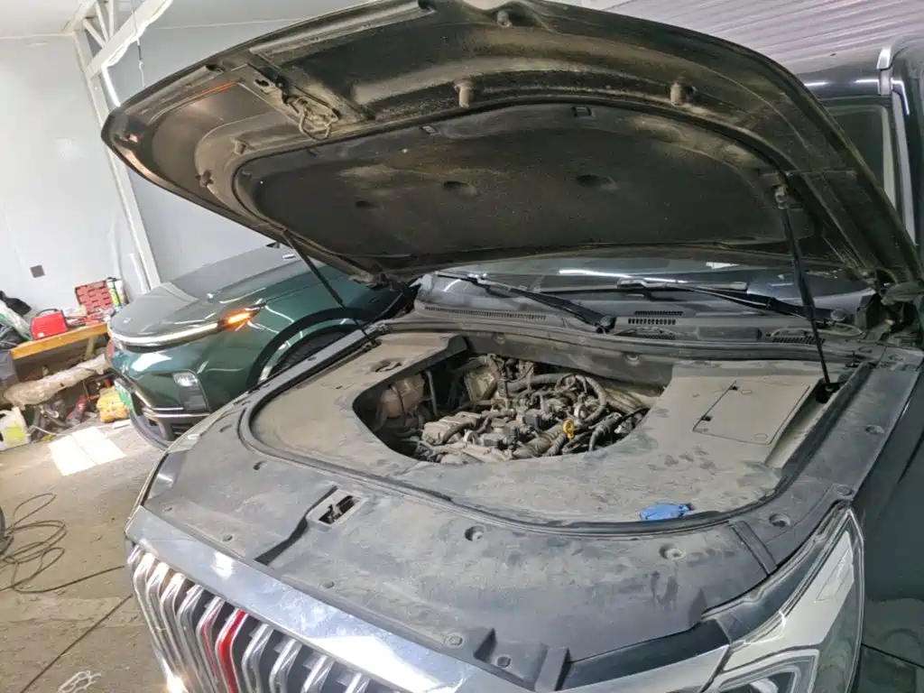 Hongqi HS7 2021 2021 2.0T DCT FWD Smart Connect Qi Xiang Edition