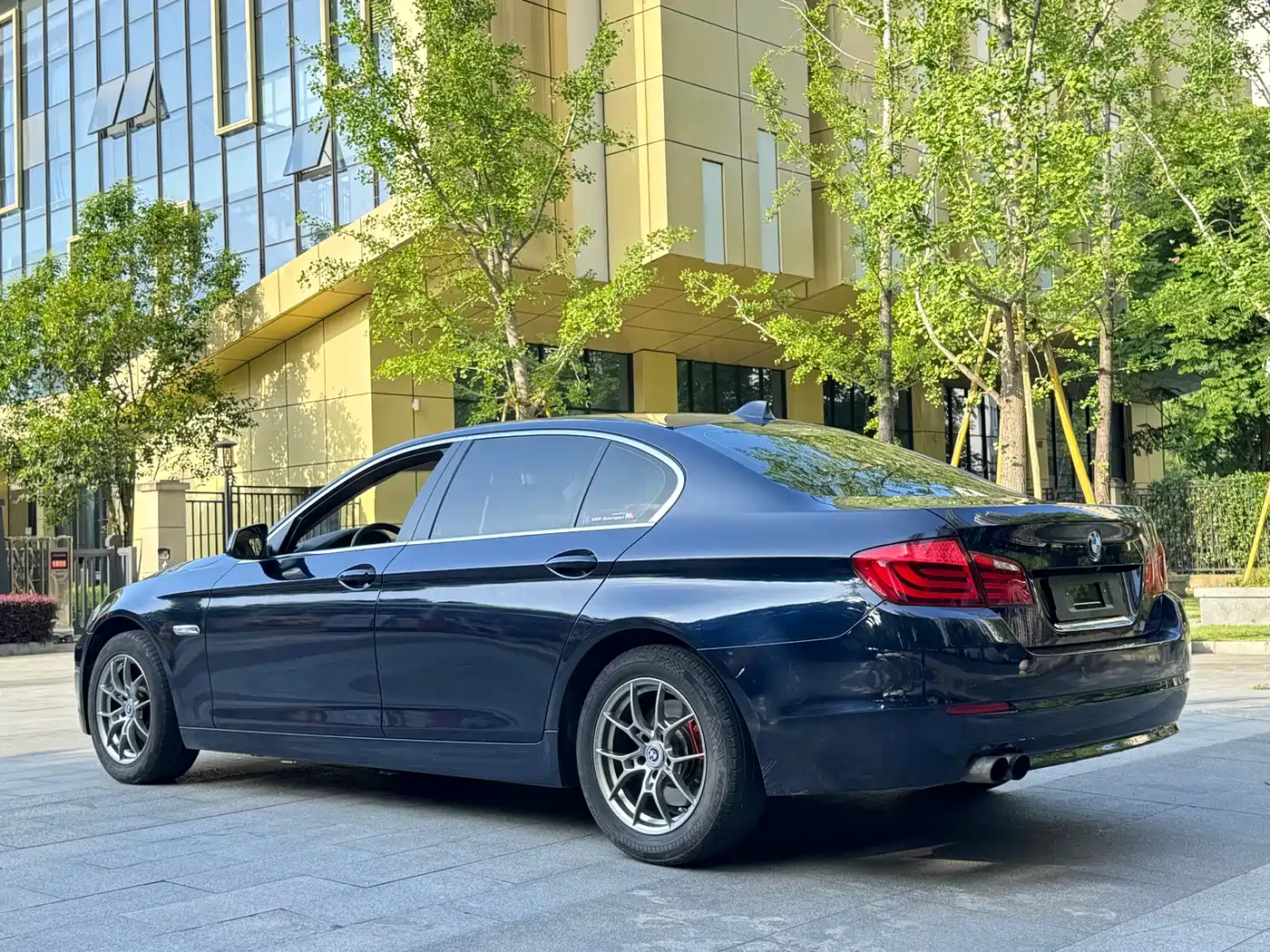 BMW 5 Series 2013 525Li Luxury фото 6