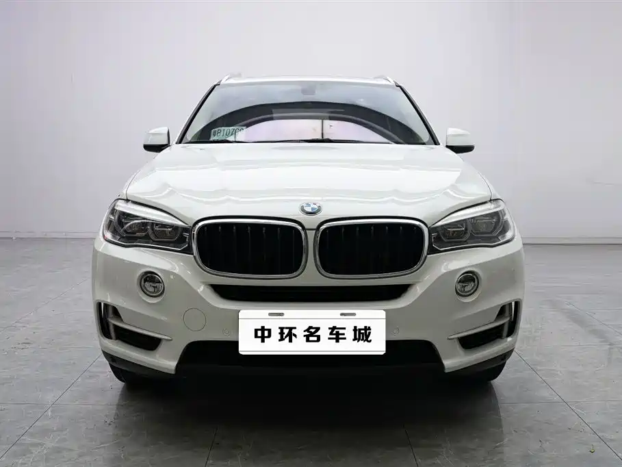 BMW X5 (Import) 2017 xDrive35i Luxury Edition фото 2