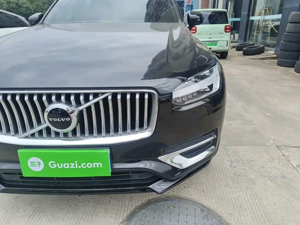 صورة 24 - Volvo XC90