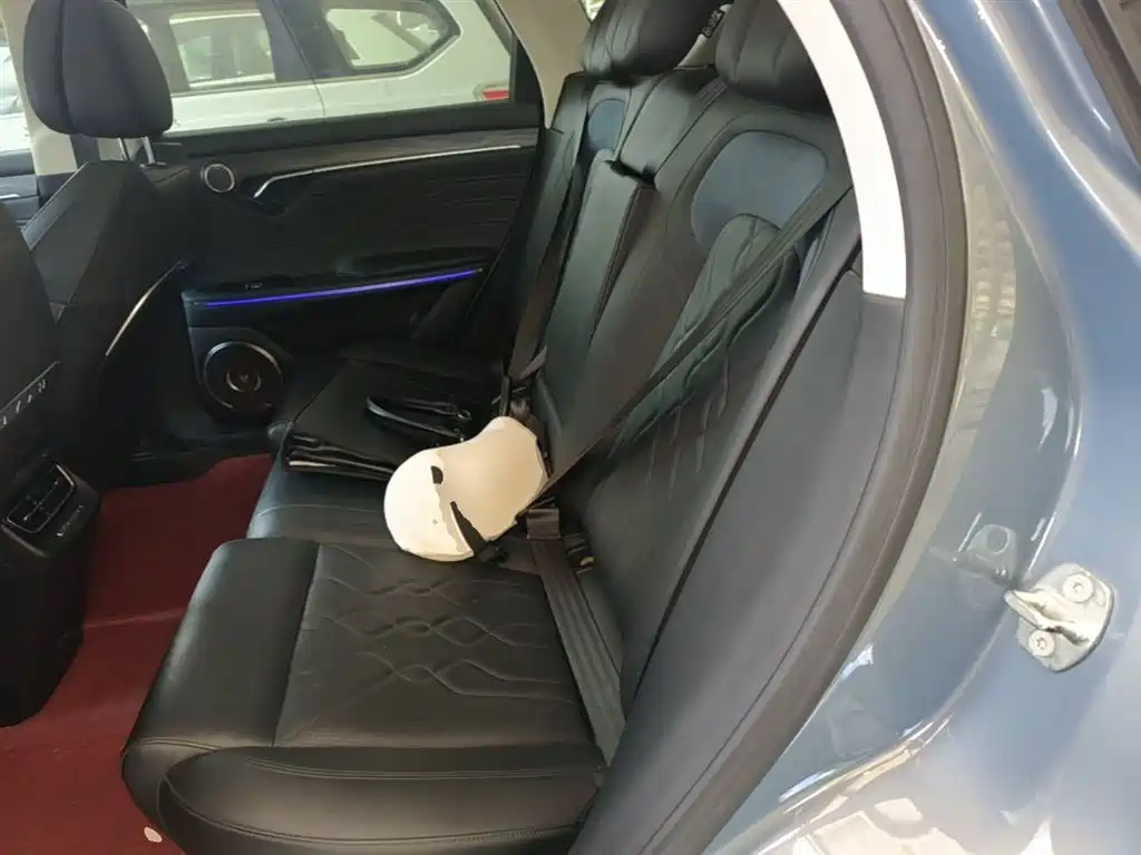 Voyah Auto VOYAH FREE 2021 AWD Standard Range Extender Exclusive Luxury Package фото 17