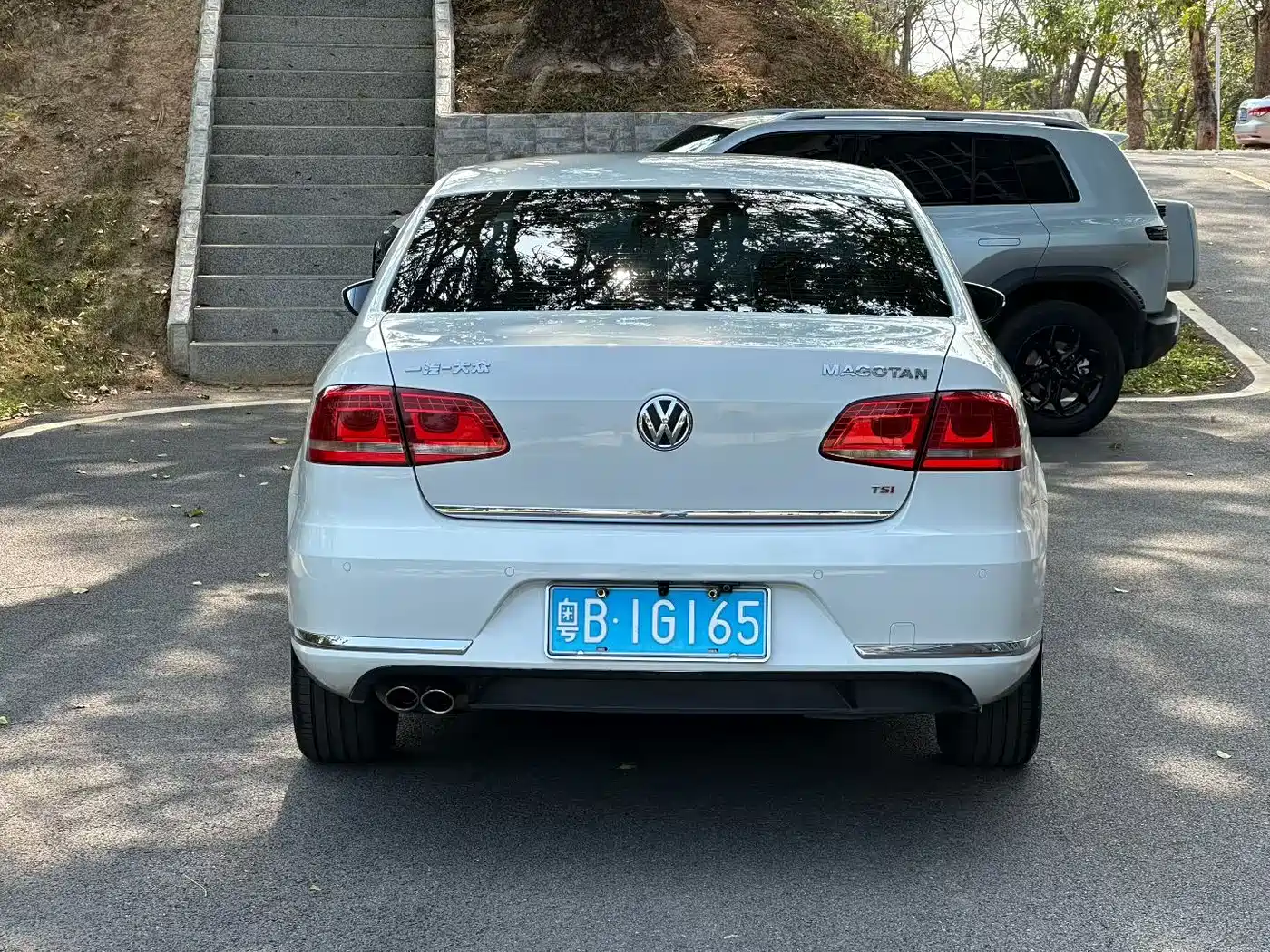 Volkswagen Magotan 2013 1.8TSI Luxury фото 9