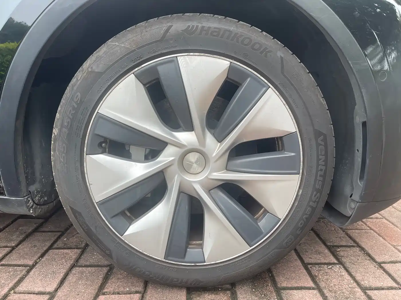 Фото 11 - Tesla Model Y