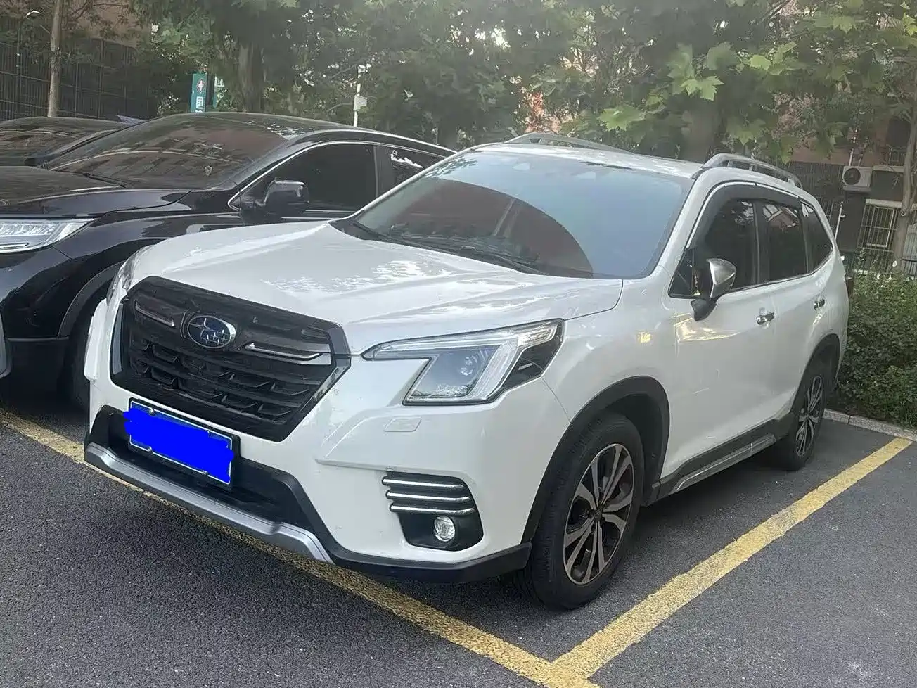 Photo 1 - Subaru Forester