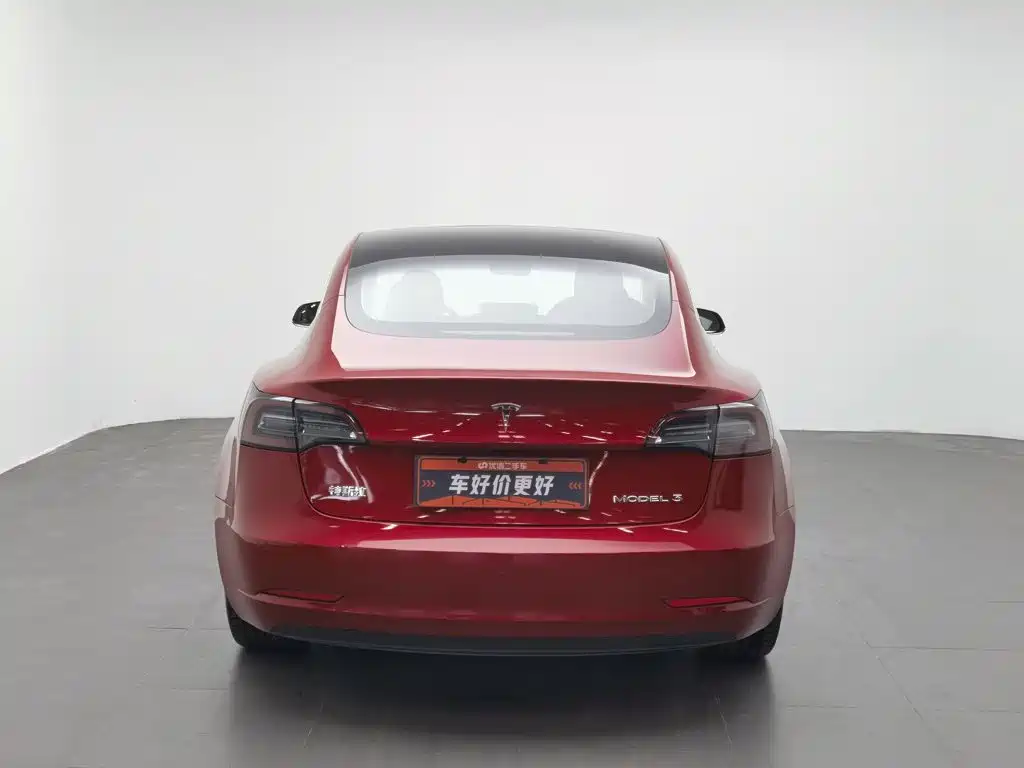 Tesla Model 3 2020 2020 Standard Range Rear-Wheel Drive Upgrade