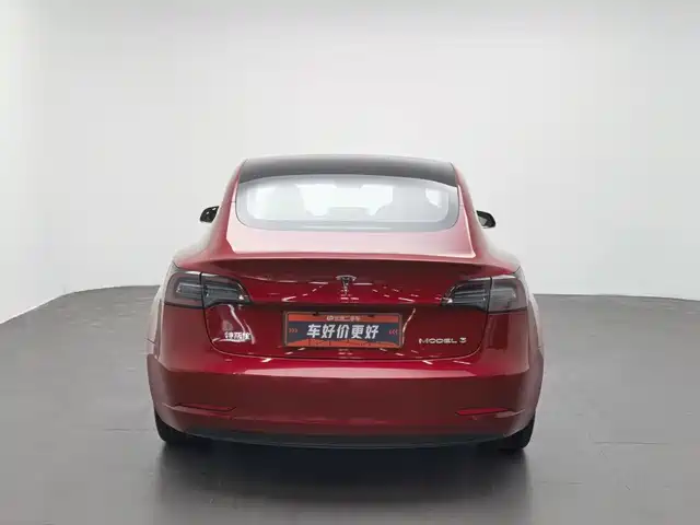 Tesla Model 3 2020 Standard Range Rear-Wheel Drive Upgrade — фото 4